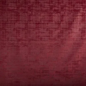 Imagination Cardinal